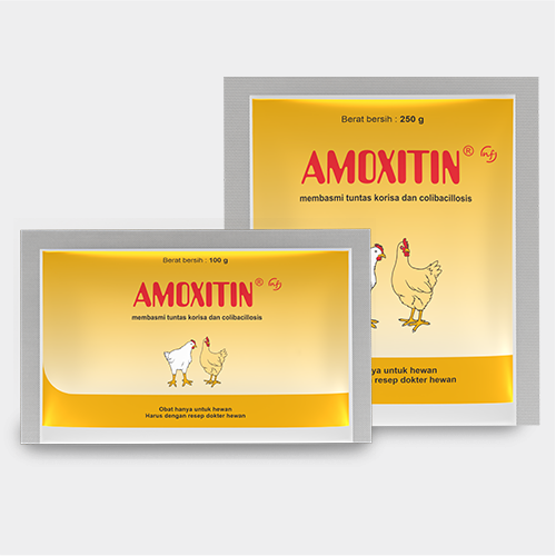 Amoxitin NF 250 Gram Medion