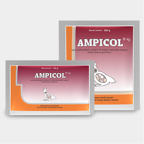 Ampicol NF 100 Gram Medion